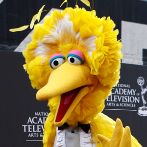 Big Bird Big Bird
